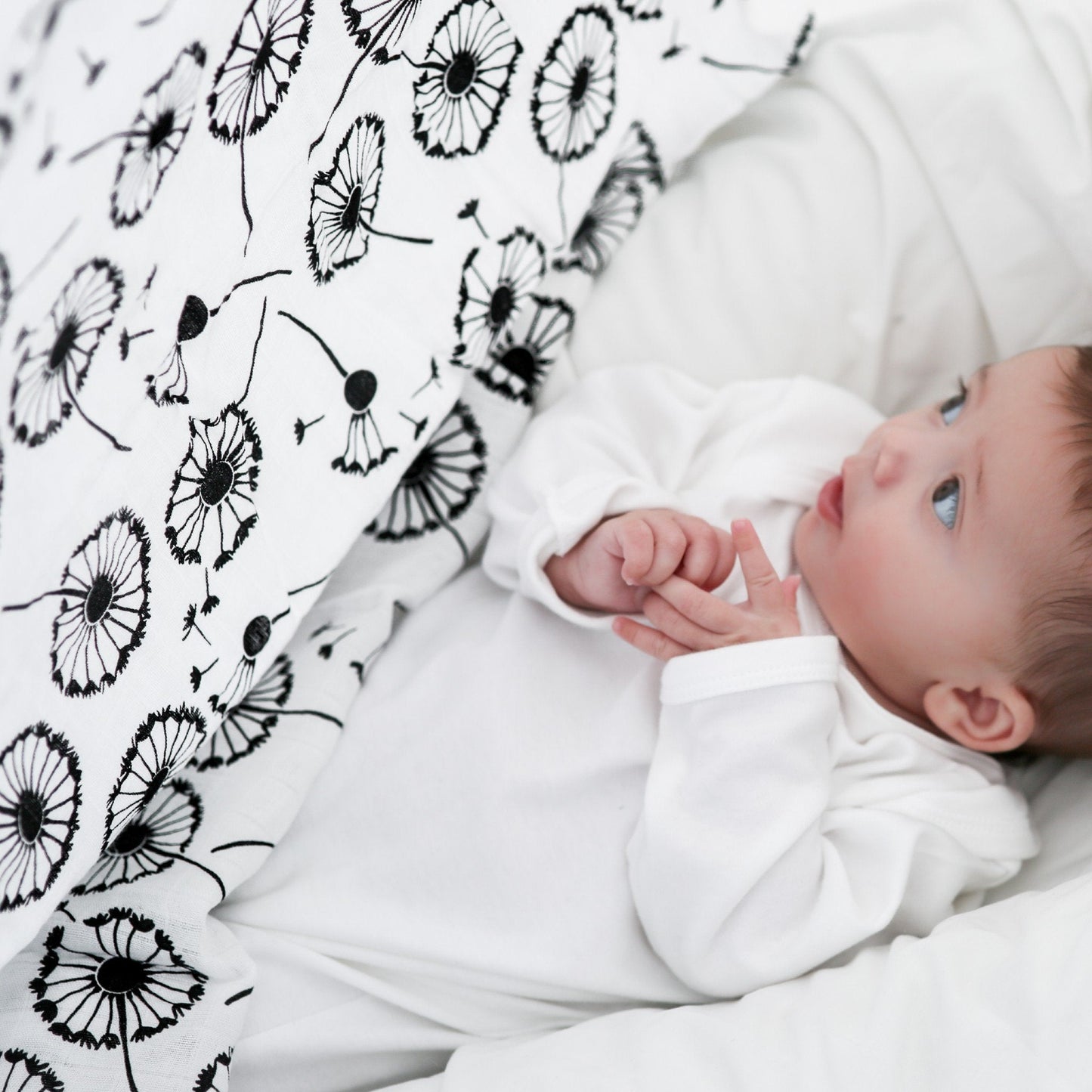 XL DANDELION MUSLIN - birth to 4 months